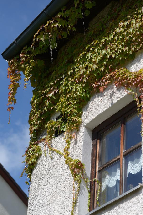 Hotel Am Regenbogen Кам Екстериор снимка